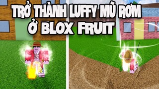 One Piece - Luffy Mũ Rơm Trở Thành Vua Hải Tặc Nhưng Trong Blox Fruit | Roblox