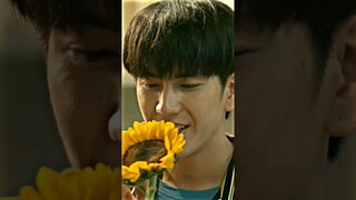 this scene🙁 mhok was about to give him the sunflower🌻...b🥺 #lasttwilightseries #jimmysea #bl