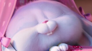 这才是猛男应该看的！