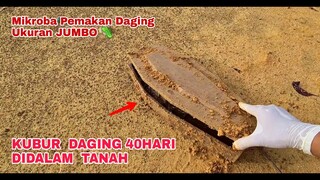 EKSPERIMEN: DAGING DIKUBUR 40 HARI dan MASIH UTUH, ZOOM 1000X Mikroskop