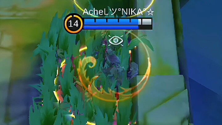 Jagain mage kesayangan