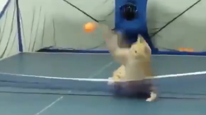 The Next Big Overlord