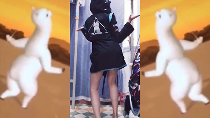 【เต้นอัลปากา】ดร.ขี้แพ้คนนี้แอบเข้าหอพักหญิงตอนเพื่อนร่วมห้องไม่อยู่ แล้วกลับทำแบบนี้!!!