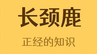 Jerapah memang spesies yang luar biasa.