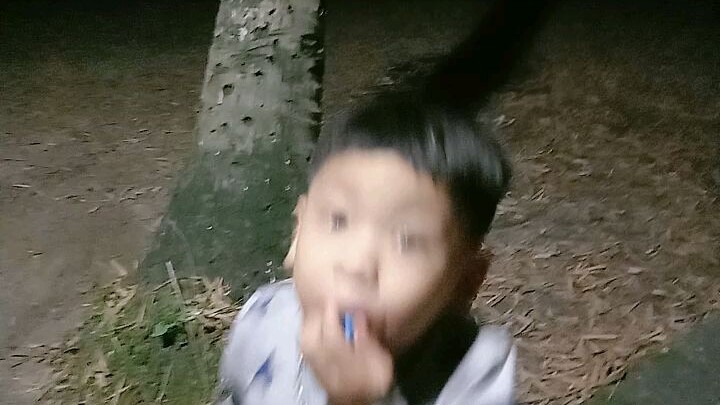 đang chơi trước sân tự nhiên con bò ở đâu chạy tới húc, giật cả mình luôn á🥶😵