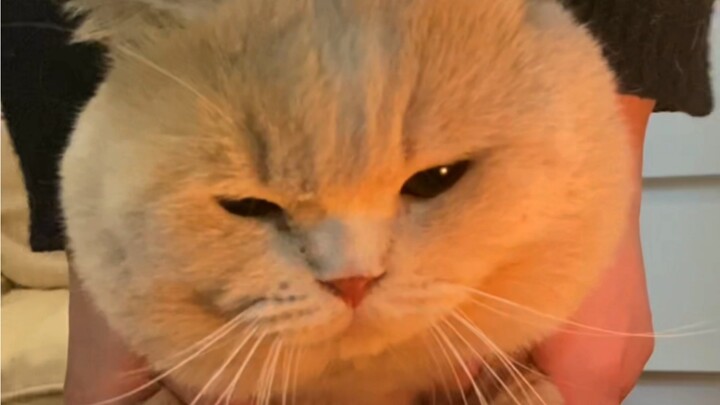 Butterfly Step at Home