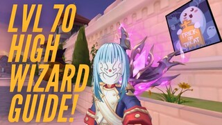 Pure Int And Vit High Wizard Lvl 70 Guide | Ragnarok X: Next Generation