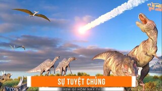 Top 10 Sự Thật Khủng Khiếp Về Trái Đất Mà Bạn Chưa Từng Biết - Hành Tinh Của Chúng Ta Sẽ Ra Sao