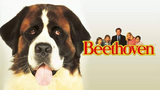 Beethoven (Family Comedy)