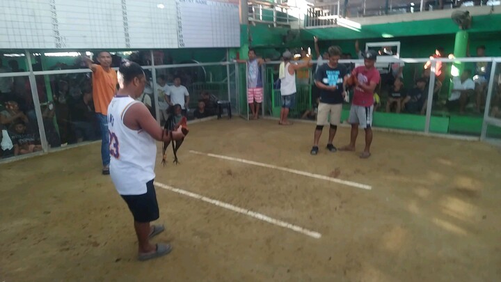 Gilmore Hatch WIN hackfight (03-07-2024)