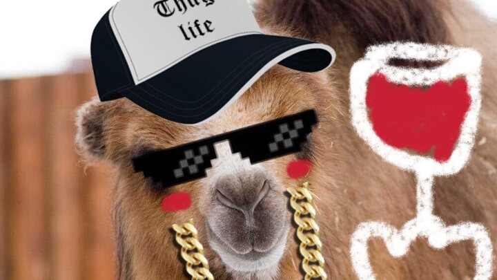 【Youying Jiang】Desert Camel – No Doll-Swapping Allowed – Can You Count How Many Scenes the Camel Has