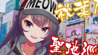 [Lu Wanying] tur tanah suci anggota kesepuluh μ Lu Wanying!