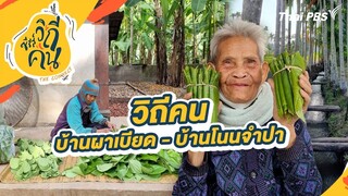 วิถีคนบ้านผาเบียด - บ้านโนนจำปา อ.คอนสาร จ.ชัยภูมิ | ซีรีส์วิถีคน