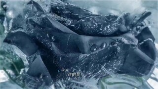 Đối Với Tôi, Anh Ấy Là Người Nguy Hiểm EP 6 [Sub Việt]