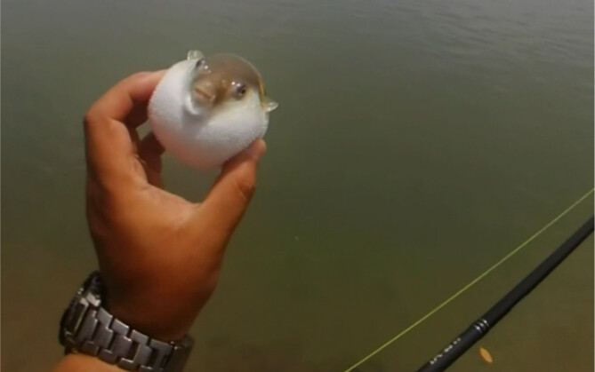 Mẹ Maria nhìn đây!