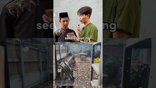 dimanakah letak kucing nya??