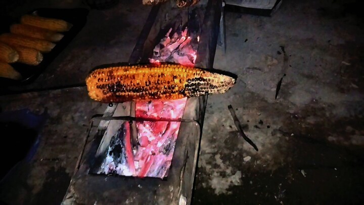 bakar jagung di malam hari,