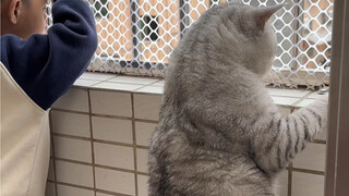 Xiao Di and Da Zhuang are watching the people downstairs from the balcony.