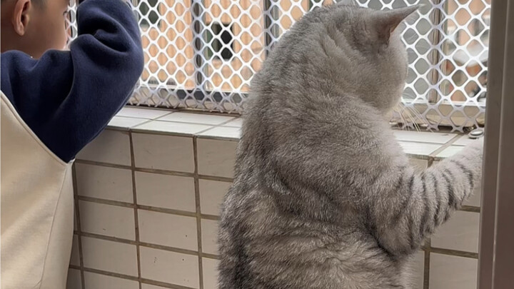 Em trai và Đại Tráng đang đứng trên ban công nhìn mọi người ở tầng dưới.