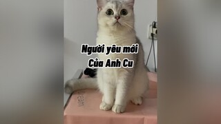 Người iu mới của anh. MN FL kênh phụ của mình nha. Kênh kia sắp bayyy r cat mèo cute