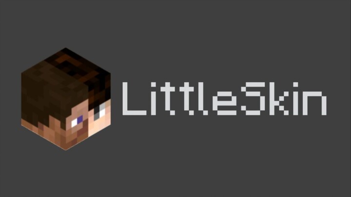 ไม่ต้องตามหาแล้ว! คู่มือการใช้งาน Little Skin ฉบับครบถ้วนที่สุดบนโลกออนไลน์มาแล้ว
