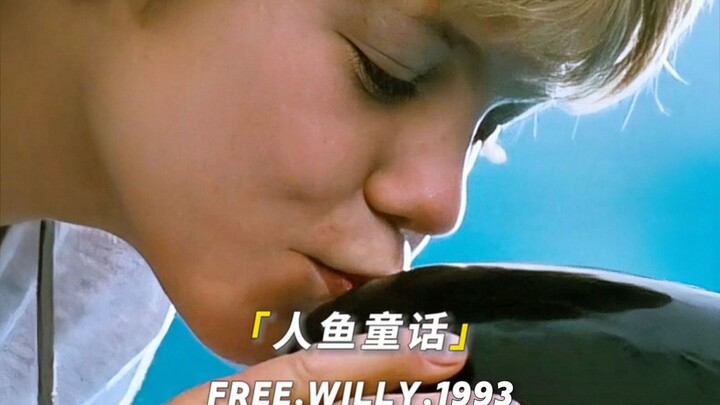 "Mutual Redemption Between a Boy and a Killer Whale"
