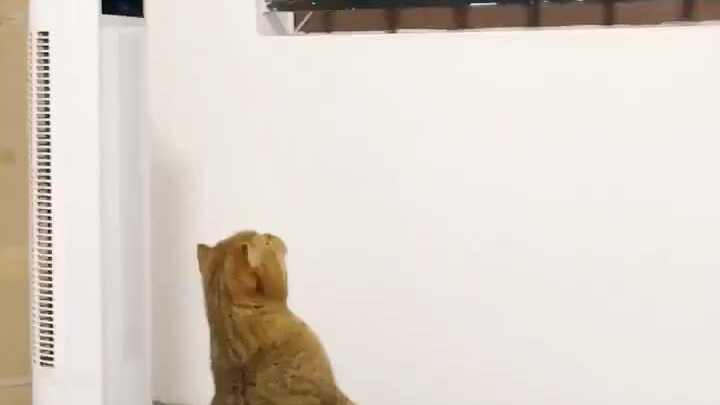 Thực ra thì tôi cũng không mấy muốn đi ra ngoài.