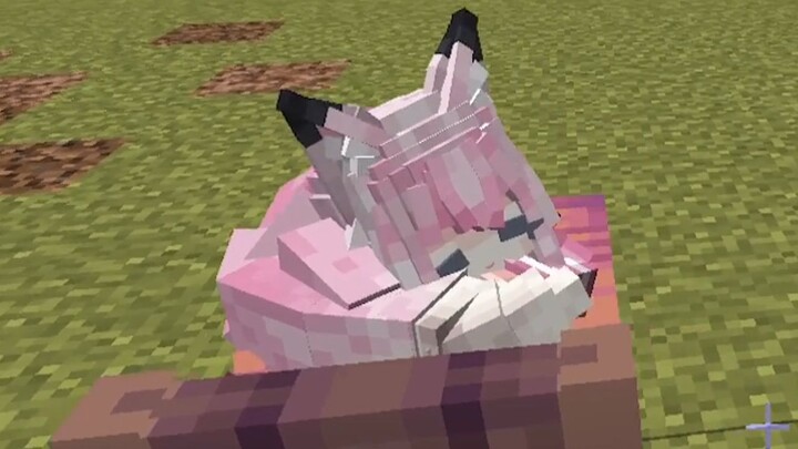 Huhu udah capek tidur begini, ganti posisi aja deh (￣v￣)zzZ