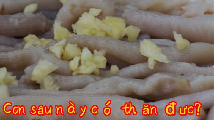 Con sâu này có thể ăn được?