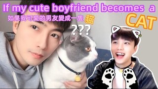 ถ้าแฟนที่น่ารักของฉันกลายเป็นแมว🐱 แฟนเป็นแมว คู่รักเกย์ Lucas&Kibo