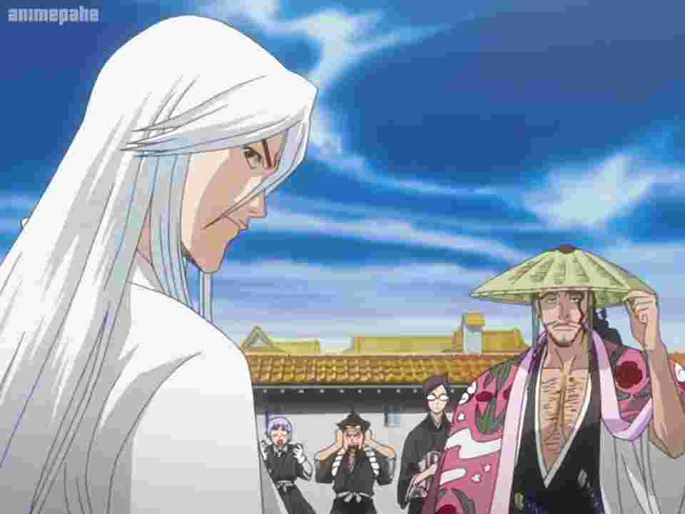 bleach episodes 113