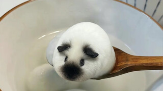 Did you get permission from this little pig before profiting by using someone else's little pig?