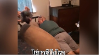 เรื่องตลกสุดฮา : ไม่ฮายังไงไหว