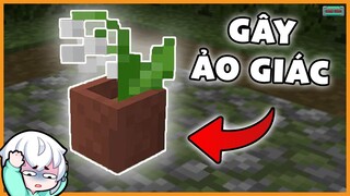 Những thứ KỲ LẠ mà bạn CHẲNG BAO GIỜ để ý trong Minecraft | Gamechan