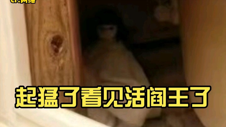 I woke up too suddenly and saw the living Yama.