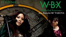 เพลงมาสไรเดอร์w