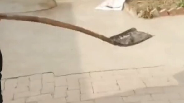 Debut That’s Pure Insanity