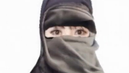 Undercover Liu Yan unmasked