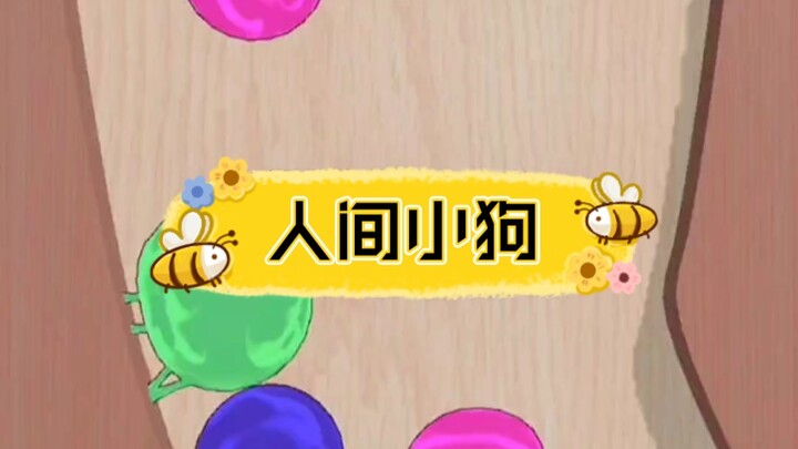 Chú cún trên nhân gian