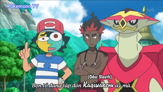 Pokemon Sun & Moon (Ep 17.3) #Pokemon_tap17