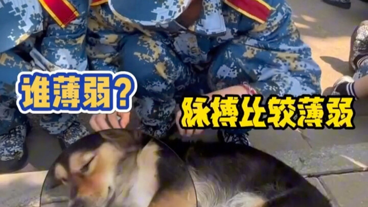 Freshman girl from military training performs CPR on senior boy's dog~