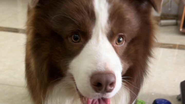 What does this mean, Xiao Yu? Hahaha!