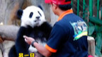 Aww, so cute! I just want to sneak it home.