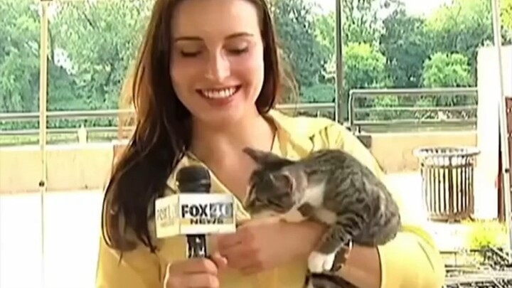 แมวน้อยที่แย่งซีนหน้ากล้อง