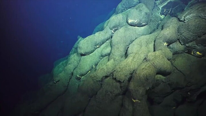 The hidden world of seamount