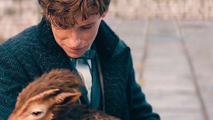 Enjoy the highlights from Magizoologist Newt