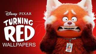 Disney and Pixar's Turning Red | Pixar Wallpapers on Disney+ | Movie Collection: Pre-Release Edition