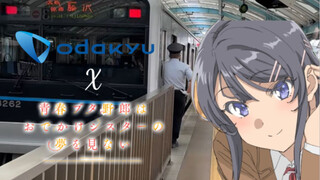 【青猪X小田急电铁】联动！小田急站内麻衣语音广播【中字】
