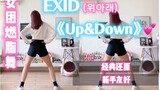 女团燃脂舞｜EXID《Up&Down》经典动作还原！新手友好，有氧舞蹈减脂减肥舞，瘦腿瘦全身～