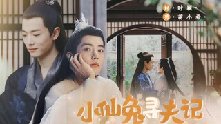 【肖战水仙】《小仙兔寻夫记》第五集|染影|蛇妖染x小兔影|甜虐|HE
